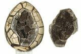 Polished Septarian Puzzle Geode - Black Crystals #191407-1
